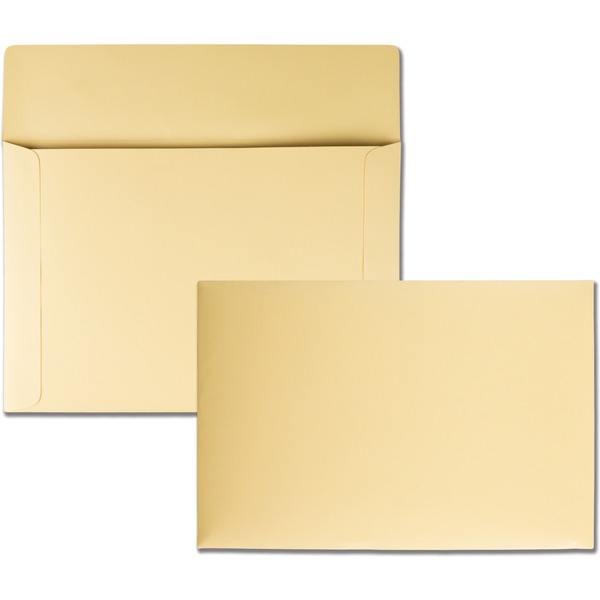 Quality Park K739 Index Flat File - Ungummed Flaps - File - 10" Width x 14 3/4" Length - 110 lb - 100 / Box - Cameo