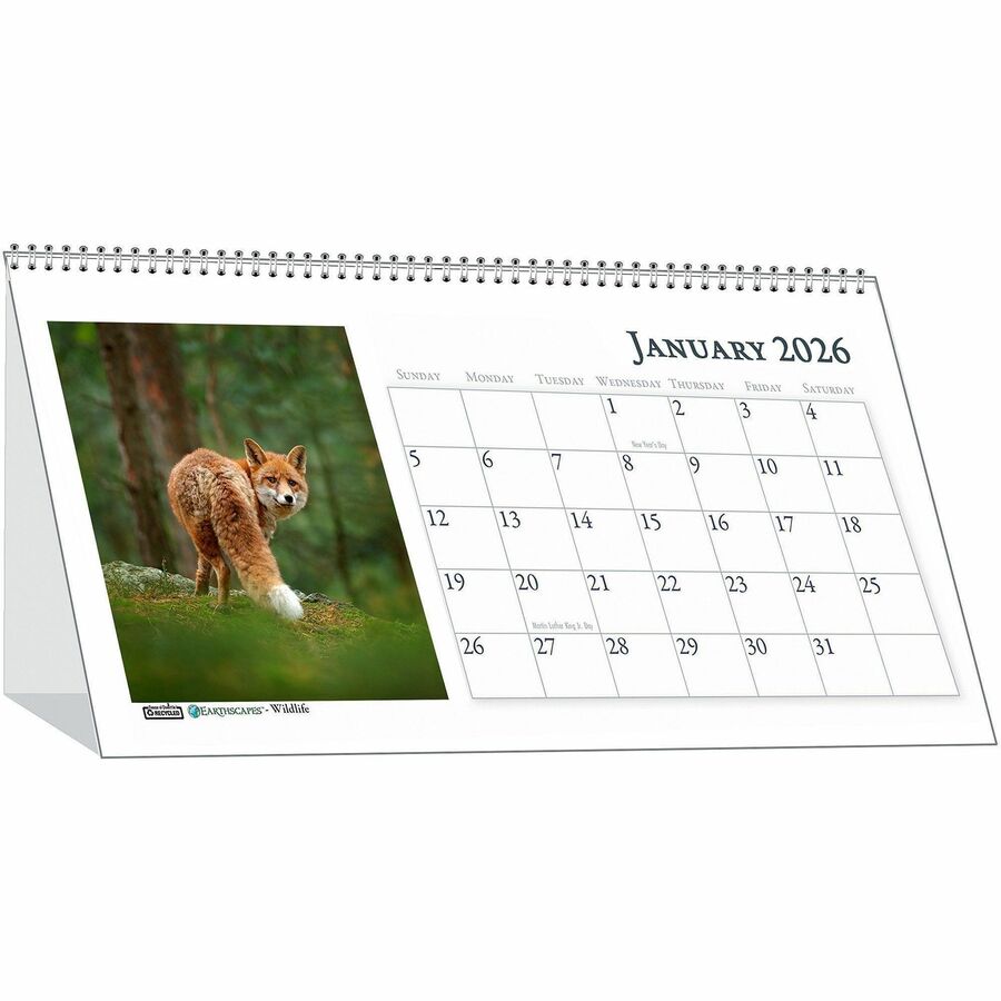 House of Doolittle Wildlife Photo Desk Top Tent Calendars - Julian Dates - Monthly - 12 Month - January 2024 - December 2024 - 1 Month Double Page Layout - Wire Bound - Desktop - Paper - 4.5" Height x 8.5" Width - Reference Calendar, Double-sided - 1 Each