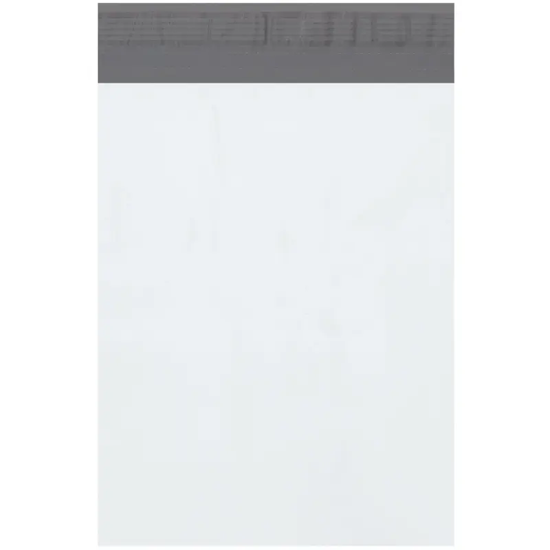 10 x 13" Poly Mailers with Tear Strip (B874) Case Of 500