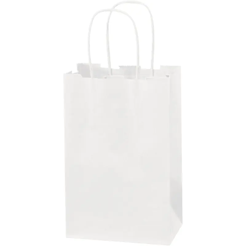 5 1/2 x 3 1/4 x 8 3/8" White Paper Shopping Bags (BGS101W) Case Of 250