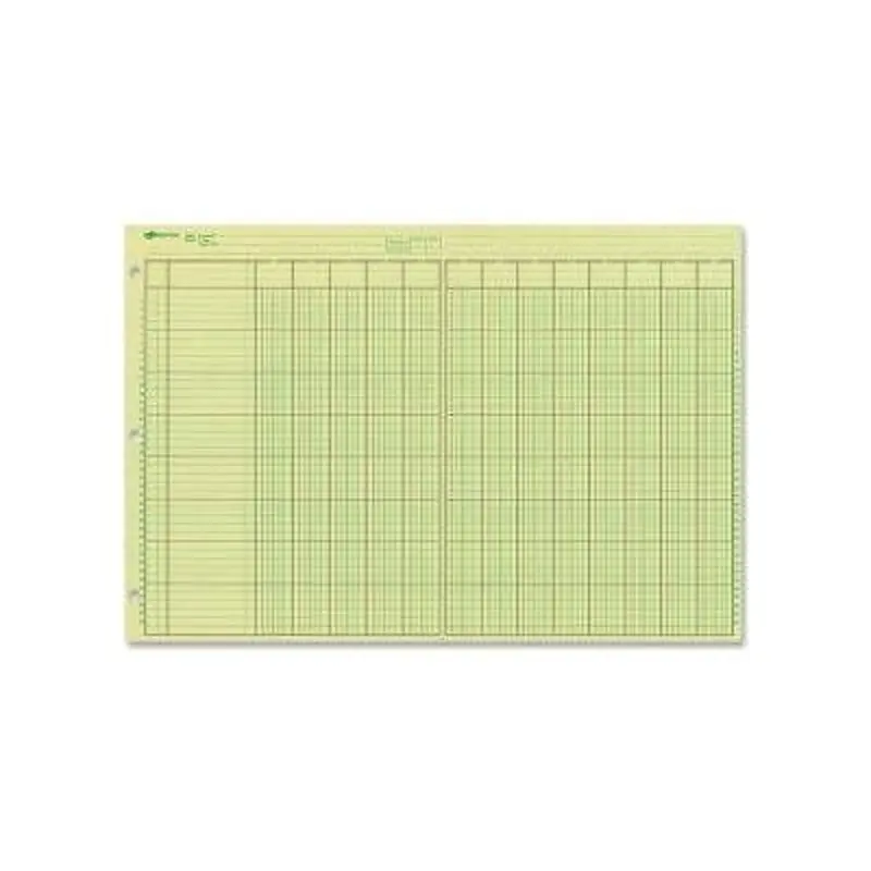 COLUMNAR PAD 11X16 13 COL