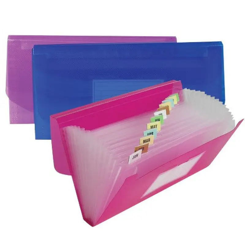 EXPANDING FILE CHECK 13-POCKETS ASST COLORS