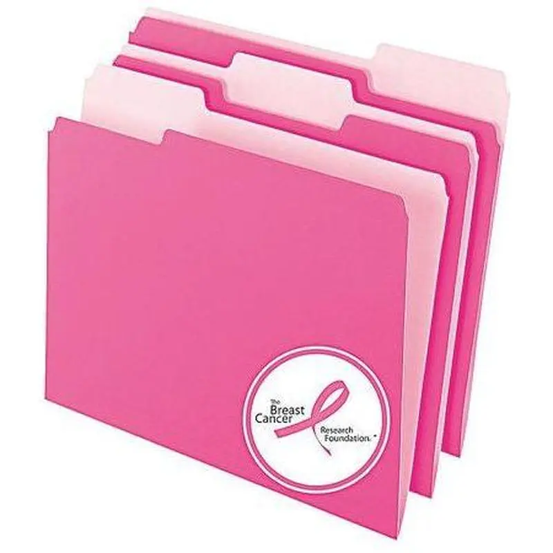 FOLDER INTERIOR LETTER PINK BOX/100