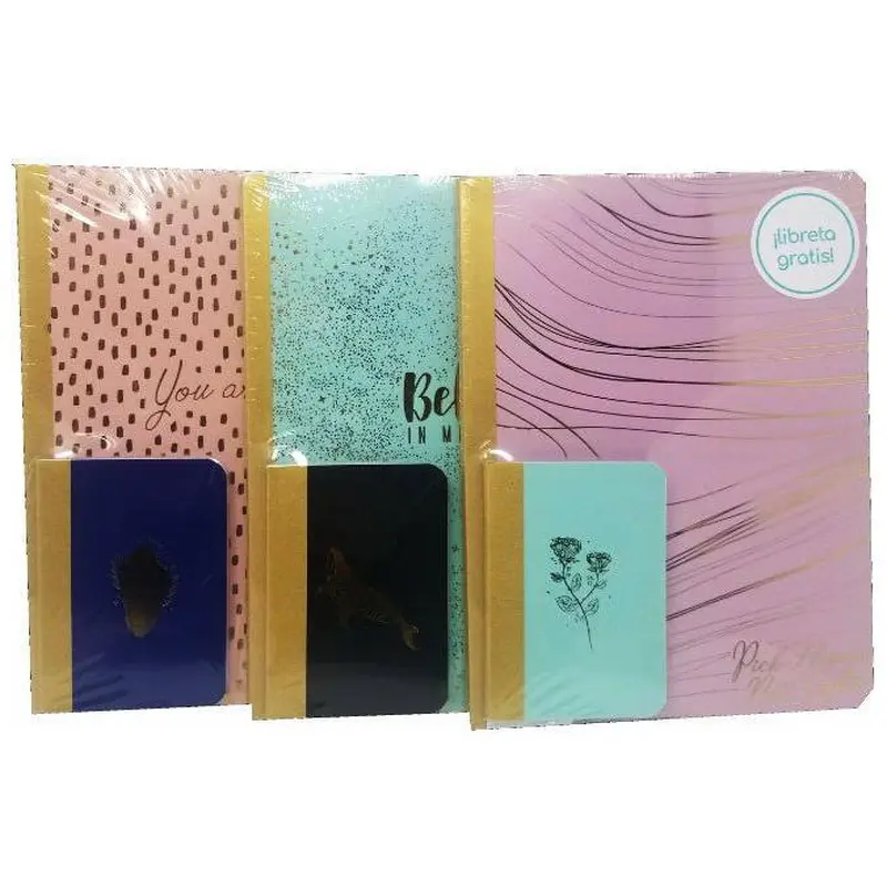 LIBRETA COSIDA PACK 100HJS/200PAG