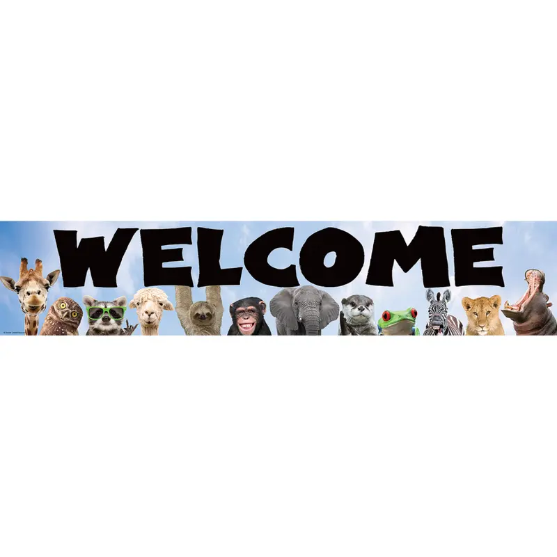 Teacher Created Resources Go Wild Animals Welcome Banner (TCR 6836)