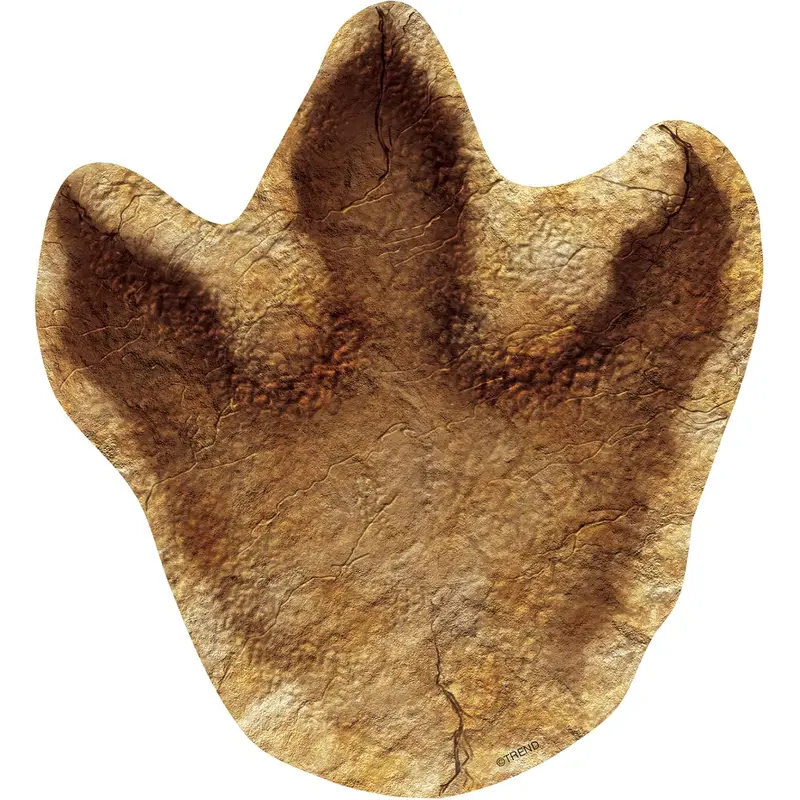 Trend Tracks Discovering Dinosaurs (T 10121)
