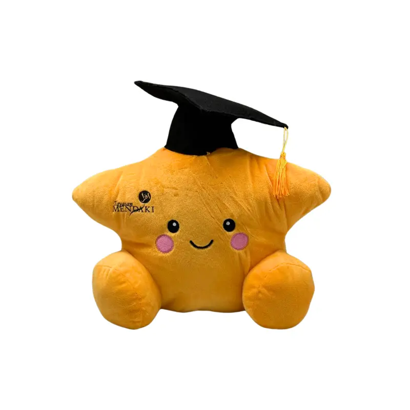 Customised 30cm Star Shaped Bear / Plush (Preorder)
