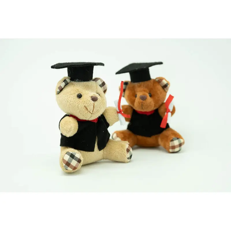 Graduation Bear Soft ToyAssorted