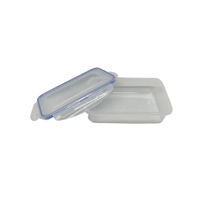 Rectangle Plastic Transparent Lunch BoxAssorted