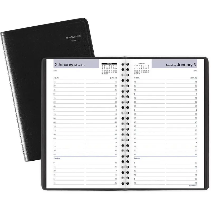 At-A-Glance DayMinder Daily Appointment Book [SKU - AAGG10000]EA
