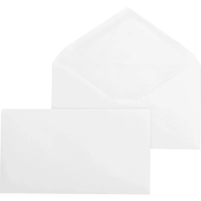 Business Source Diagonal Seam No. 9 Envelopes [SKU - BSN04469]BX