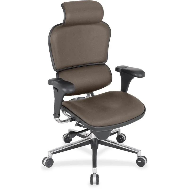 Eurotech Ergohuman Leather Executive Chair [SKU - EUTLE9ERG077]EA