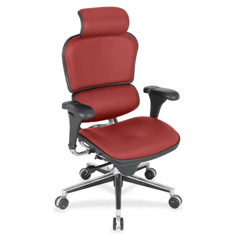 Eurotech Ergohuman Leather Executive Chair [SKU - EUTLE9ERG54]EA