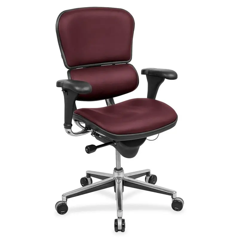 Eurotech ergohuman LE10ERGLO Mid Back Management Chair [SKU - EUTLE10LO22]EA