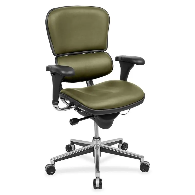 Eurotech ergohuman LE10ERGLO Mid Back Management Chair [SKU - EUTLE10LO25]EA