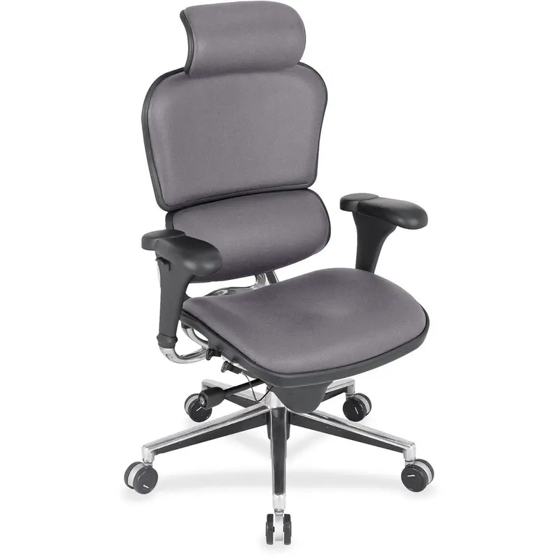 Eurotech Ergohuman Leather Executive Chair [SKU - EUTLE9ERG101]EA