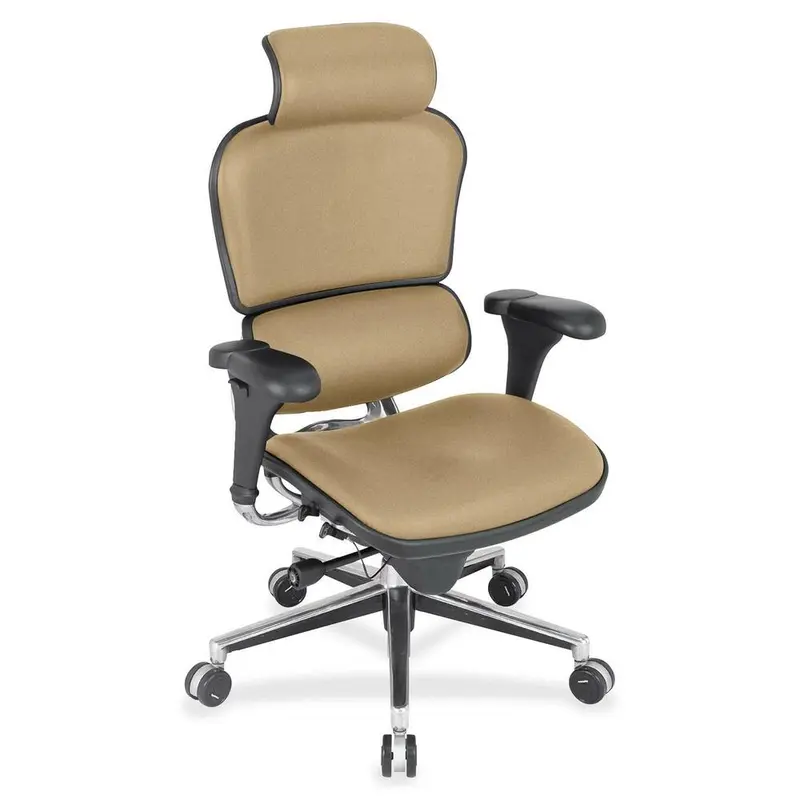 Eurotech Ergohuman Leather Executive Chair [SKU - EUTLE9ERG62]EA