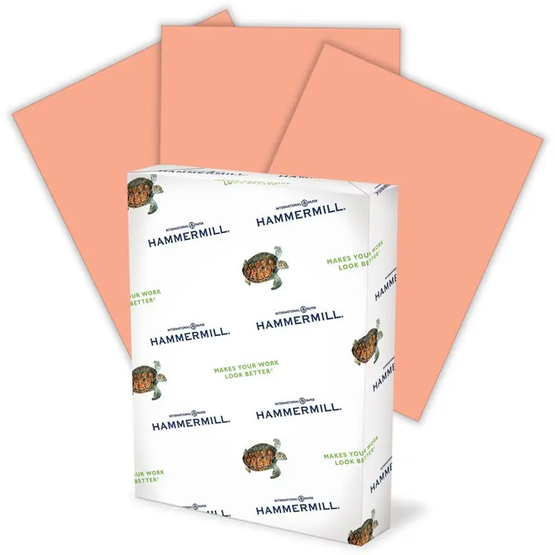 Hammermill Colors Recycled Copy Paper [SKU - HAM103119CT]CT