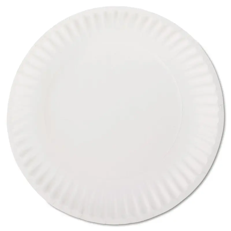 White Paper Plates, 9" dia, 100/Pack
