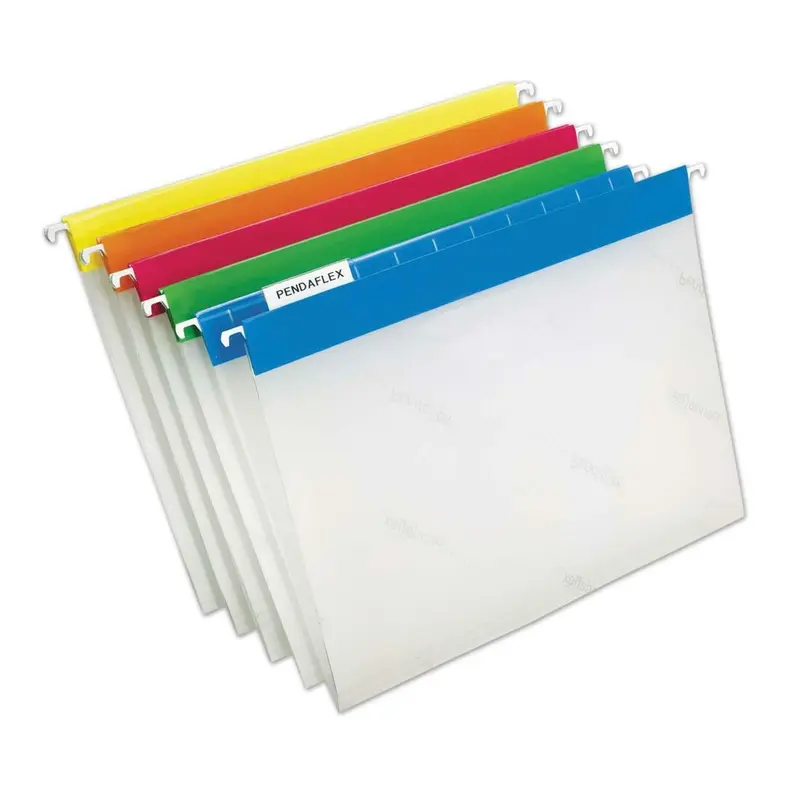 Esselte Easy View Hanging Folder
