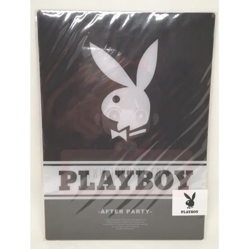 Kamio Japan Cute Model Playboy Shitajiki Plastic Sheet