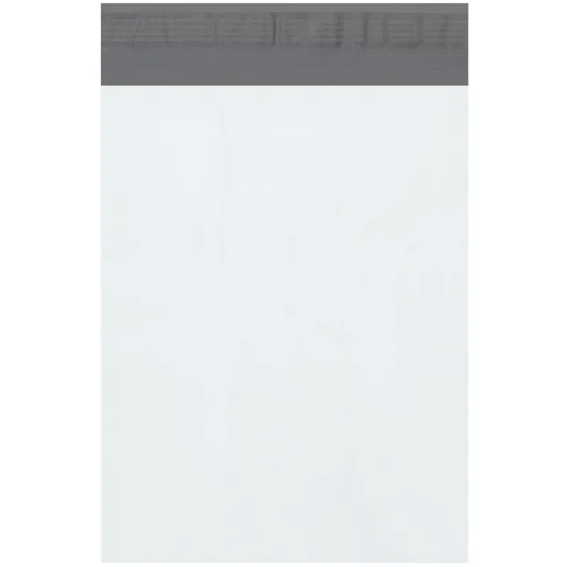 10 x 13 Poly Mailers 100/Case