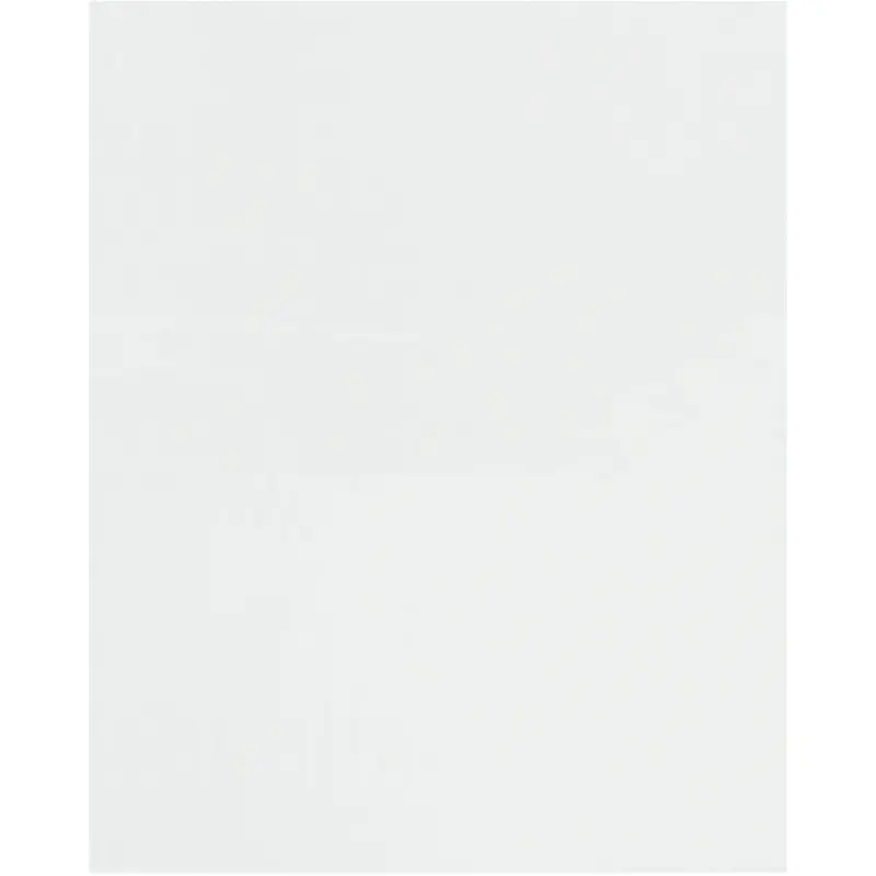 2 x 3 (1.5 mil) Flat Polypropylene Bags 10000/Case