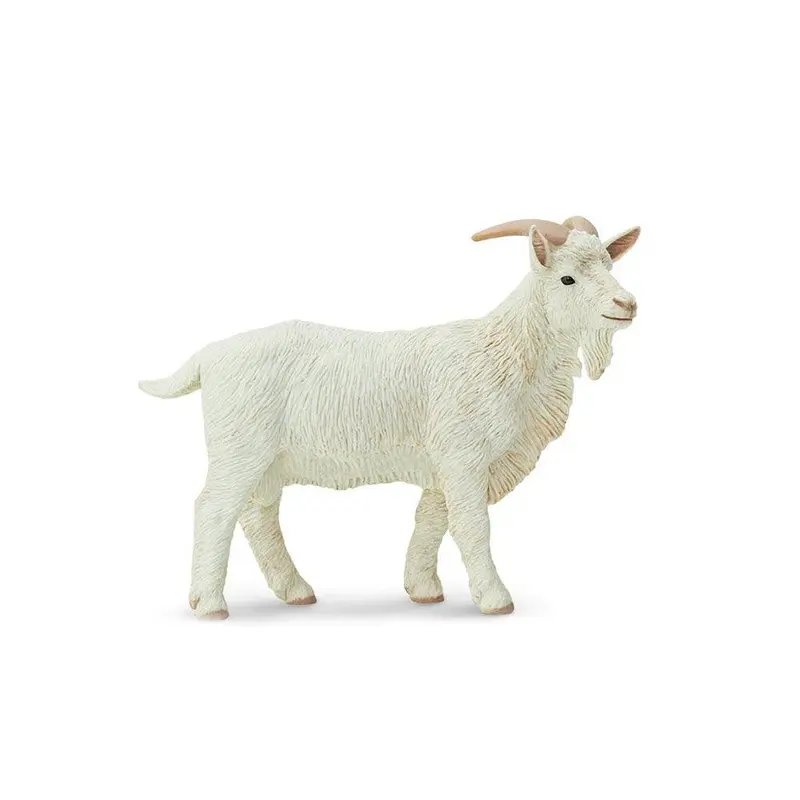 Safari  Billy Goat