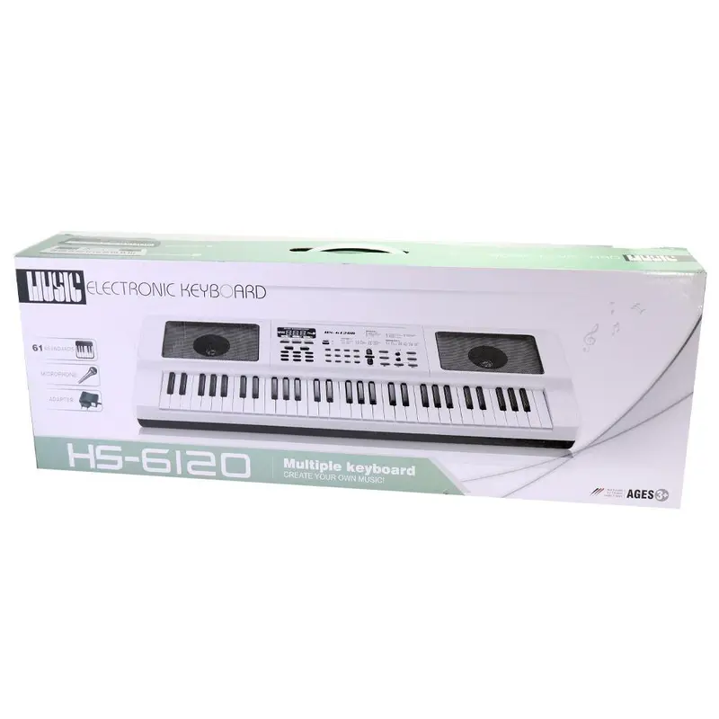 (Net) 61 Key Electronic Keyboard Piano With Microphone And USB Cable