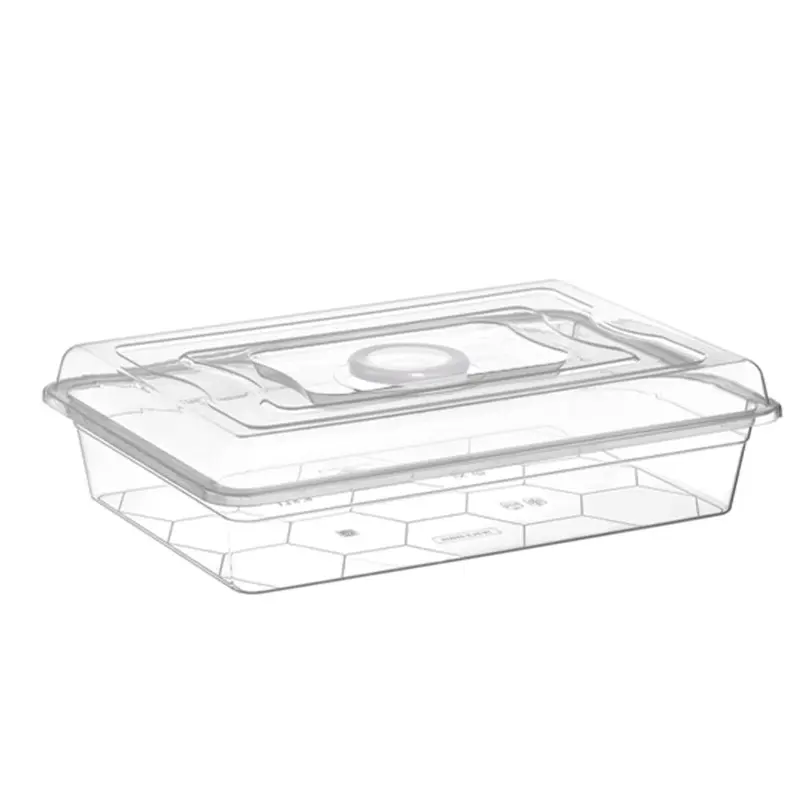 Follow me Transparent Multi-Purpose Tub with Lid 6.5L