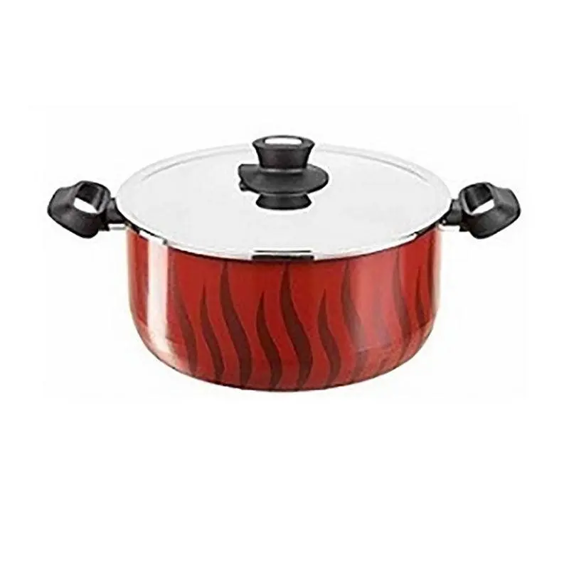 Tefal Tempo Flame Dutch Oven 26 cm   Stainless Steel Lid / C548528