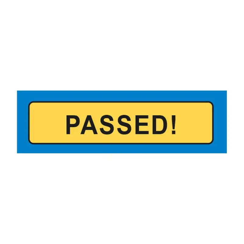 Passed License Plate Keyring
